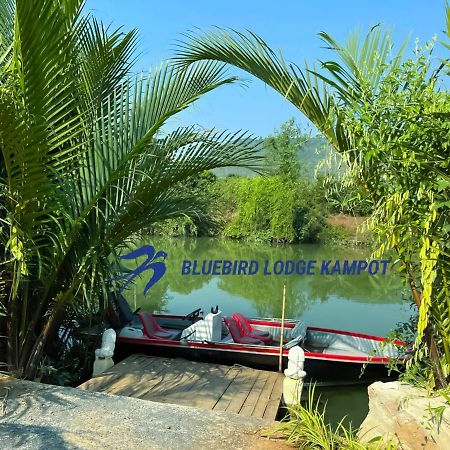 Bluebird Lodge Kampot Kültér fotó