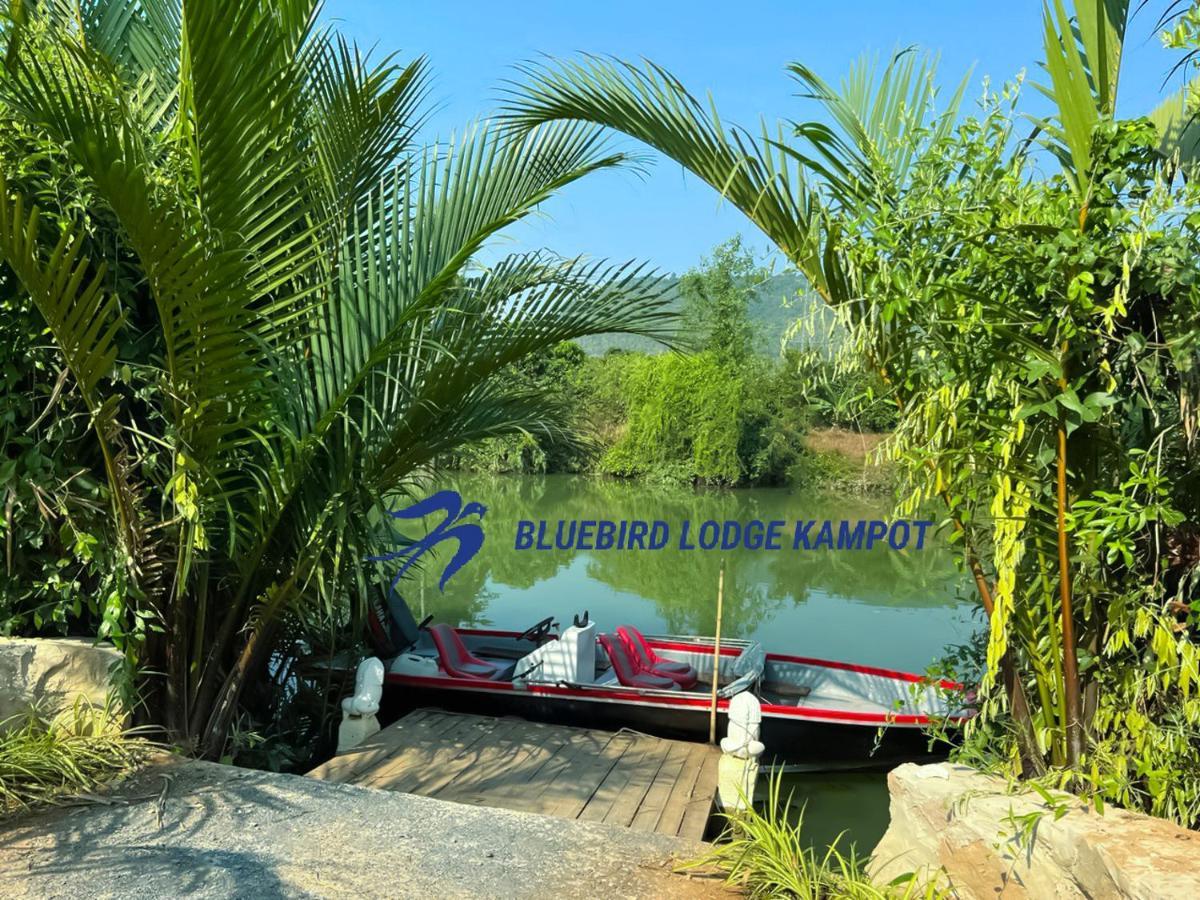 Bluebird Lodge Kampot Kültér fotó