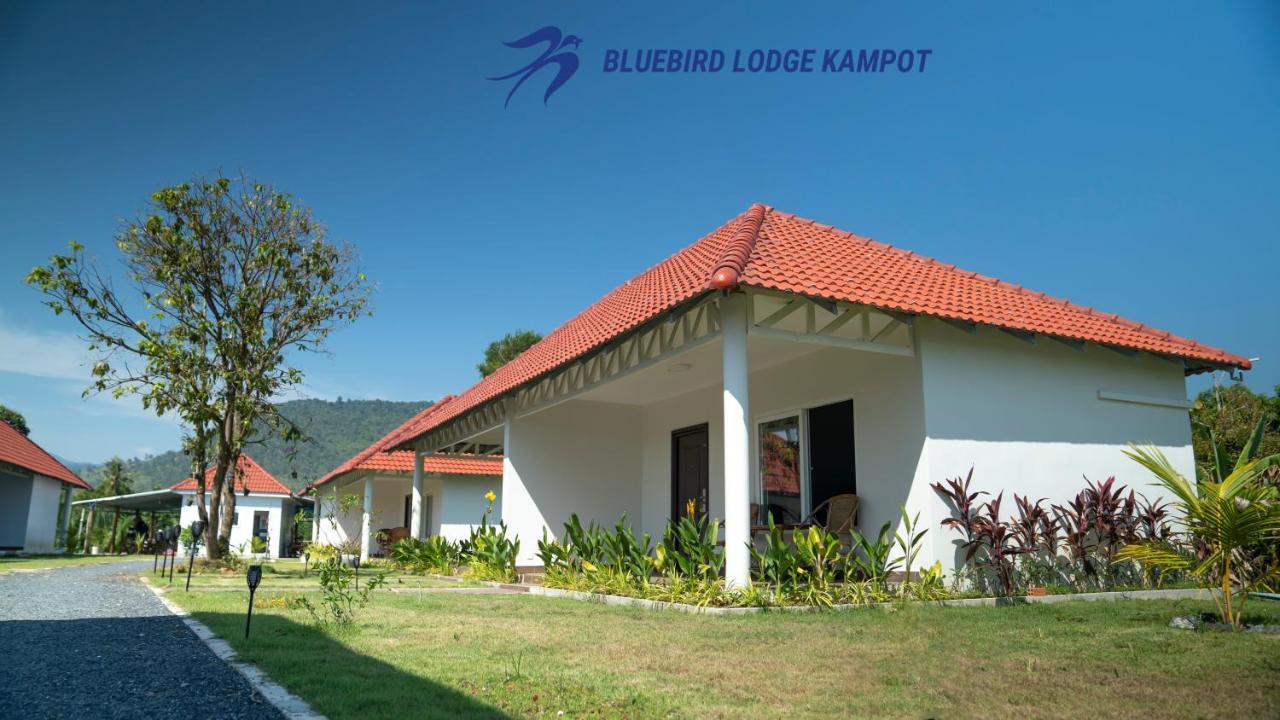 Bluebird Lodge Kampot Kültér fotó