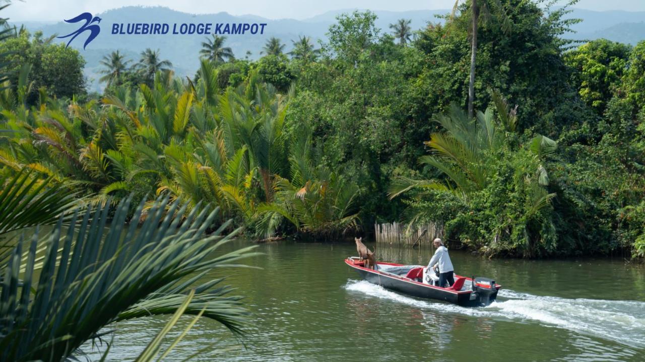 Bluebird Lodge Kampot Kültér fotó